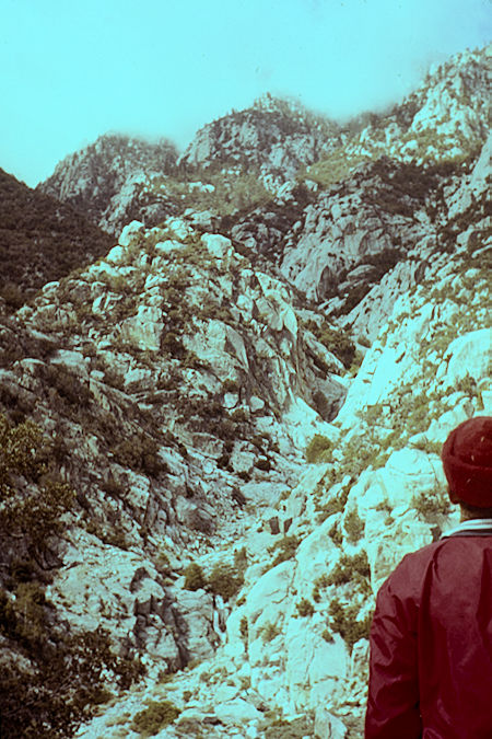 Snow Creek on the North Face Route