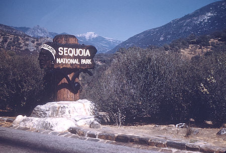 Sequoia National Park 14 Jul 1957 Sequoia National Park 14 Jul 1957
