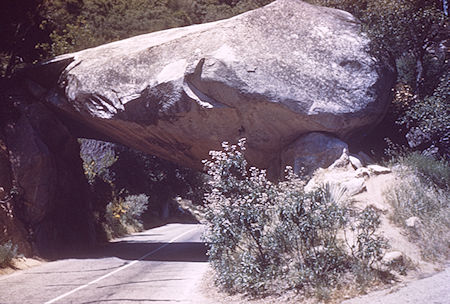 Arch Rock on General's Highway - Sequoia National Park 14 Jul 1957 Arch Rock on General's Highway - Sequoia National Park 14 Jul 1957