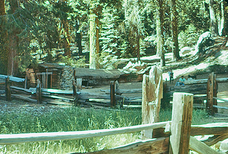 Tharp's Cabin in Giant Forest - Sequoia National Park 15-17 Jul 1957 Tharp's Cabin in Giant Forest - Sequoia National Park 15-17 Jul 1957