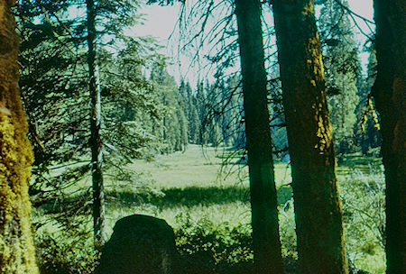 Log Meadow near Tharp's Cabin - Sequoia National Park 15-17 Jul 1957 Log Meadow near Tharp's Cabin - Sequoia National Park 15-17 Jul 1957