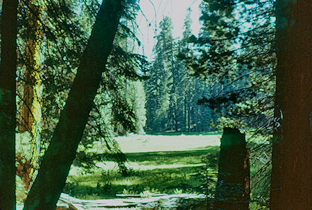 Huckleberry Meadow - Sequoia National Park 15-17 Jul 1957 Huckleberry Meadow - Sequoia National Park 15-17 Jul 1957