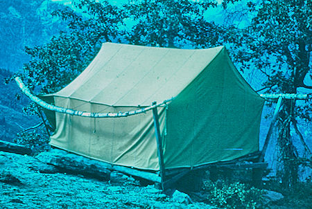 Tent at Bearpaw Camp - Sequoia National Park 19 Jul 1957 Tent at Bearpaw Camp - Sequoia National Park 19 Jul 1957