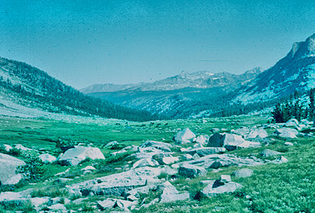 View down Big Arroyo - Sequoia National Park 20 Jul 1957 View down Big Arroyo - Sequoia National Park 20 Jul 1957