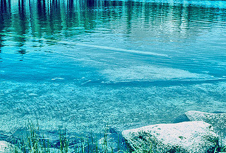 Moraine Lake showing clear water, log 5' below surface - Sequoia National Park 20 Jul 1957 Moraine Lake showing clear water, log 5' below surface - Sequoia National Park 20 Jul 1957