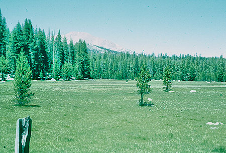 Moraine Lake pasture - Sequoia National Park 21 Jul 1957 Moraine Lake pasture - Sequoia National Park 21 Jul 1957