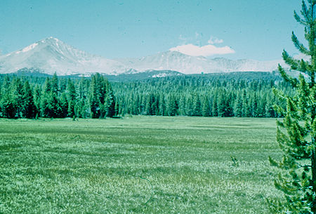 Sky Parlor Meadow, Mount Kaweah - Sequoia National Park 21 Jul 1957 Sky Parlor Meadow, Mount Kaweah - Sequoia National Park 21 Jul 1957