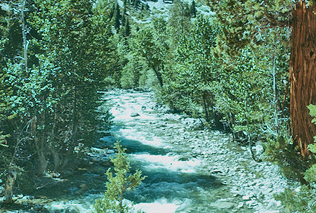 Raging current in Kern River - Sequoia National Park 22 Jul 1957 Raging current in Kern River - Sequoia National Park 22 Jul 1957