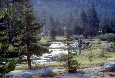 Lyell Fork Tuolumne River - Yosemite National Park - 24 Aug 1966 Lyell Fork Tuolumne River - Yosemite National Park - 24 Aug 1966