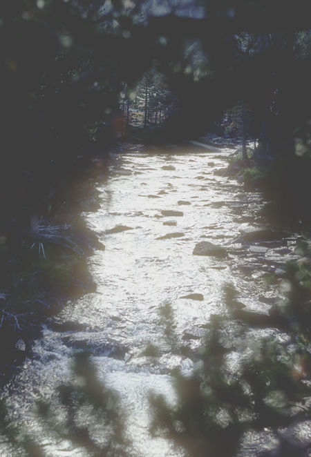 Lyell Fork Tuolumne River - Yosemite National Park - 24 Aug 1966 Lyell Fork Tuolumne River - Yosemite National Park - 24 Aug 1966