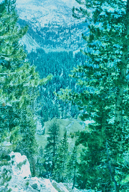 Looking down on Tully Hole - John Muir Wilderness Aug 1959 Looking down on Tully Hole - John Muir Wilderness Aug 1959