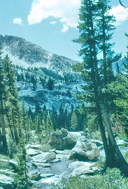 Looking down Fish Creek - John Muir Wilderness Aug 1959 Looking down Fish Creek - John Muir Wilderness Aug 1959