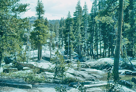 Bear Creek at Kip Camp - John Muir Wilderness Aug 1959 Bear Creek at Kip Camp - John Muir Wilderness Aug 1959