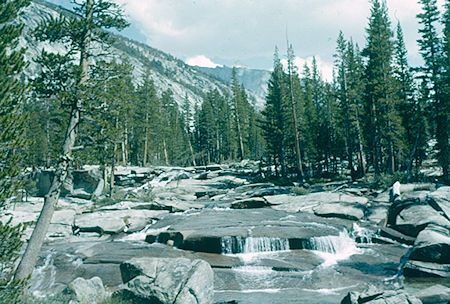 Bear Creek - John Muir Wilderness Aug 1959 Bear Creek - John Muir Wilderness Aug 1959