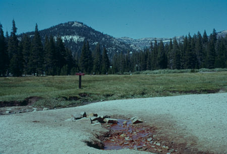 Soda Spring near Devils Postpile National Monument - Aug 1959 Soda Spring near Devils Postpile National Monument - Aug 1959