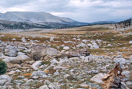 Lower Wright Lake Basin - Sequoia National Park 24 Aug 1971 Lower Wright Lake Basin - Sequoia National Park 24 Aug 1971