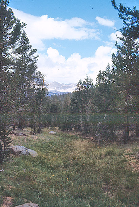 Meadow near Sandy Meadow - Sequoia National Park 25 Aug 1971 Meadow near Sandy Meadow - Sequoia National Park 25 Aug 1971