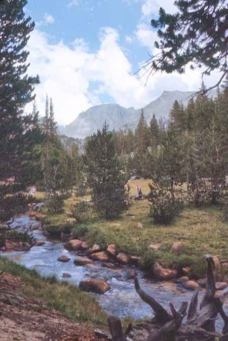 Mt. Whitney and Whitney Creek - Sequoia National Park 25 Aug 1971 Mt. Whitney and Whitney Creek - Sequoia National Park 25 Aug 1971