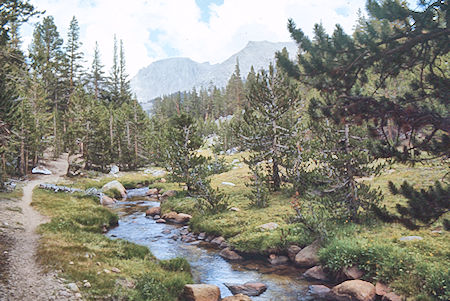 Mt. Whitney and Whitney Creek - Sequoia National Park 25 Aug 1971 Mt. Whitney and Whitney Creek - Sequoia National Park 25 Aug 1971