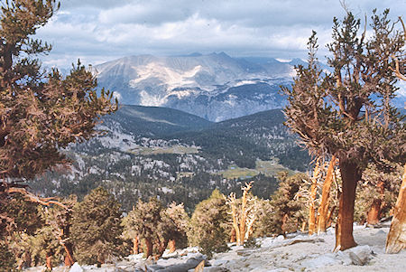 Crabtree Meadow from the side of Mt. Hitchcock - Sequoia National Park 26 Aug 1971 Crabtree Meadow from the side of Mt. Hitchcock - Sequoia National Park 26 Aug 1971