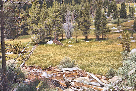 Meadow on Rock Creek - Sequoia National Park 27 Aug 1971 Meadow on Rock Creek - Sequoia National Park 27 Aug 1971