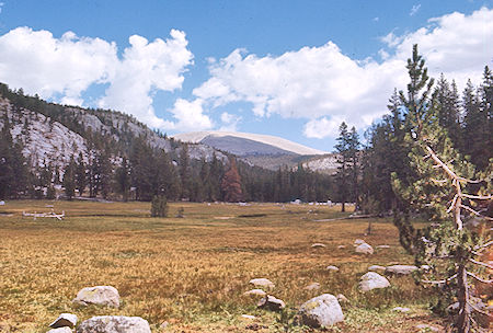Meadow on Rock Creek - Sequoia National Park 27 Aug 1971 Meadow on Rock Creek - Sequoia National Park 27 Aug 1971