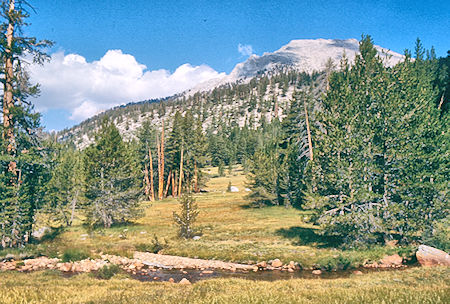 Meadow along Rock Creek - Sequoia National Park 29 Aug 1971 Meadow along Rock Creek - Sequoia National Park 29 Aug 1971
