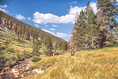 Rock Creek - Sequoia National Park 29 Aug 1971 Rock Creek - Sequoia National Park 29 Aug 1971