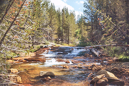 Rock Creek - Sequoia National Park 29 Aug 1971 Rock Creek - Sequoia National Park 29 Aug 1971
