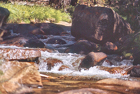 Rock Creek - Sequoia National Park 29 Aug 1971 Rock Creek - Sequoia National Park 29 Aug 1971