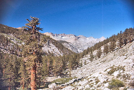 View down Wallace Creek to Kaweah Ridge - Sequioa National Park 31 Aug 1971 View down Wallace Creek to Kaweah Ridge - Sequioa National Park 31 Aug 1971
