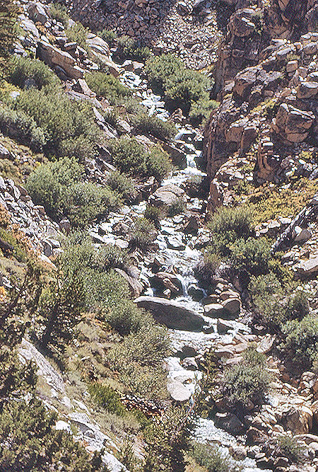 Wallace Creek - Sequoia National Park 31 Aug 1971 Wallace Creek - Sequoia National Park 31 Aug 1971
