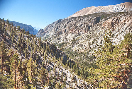 Kern Canyon - Sequoia National Park 31 Aug 1971 Kern Canyon - Sequoia National Park 31 Aug 1971