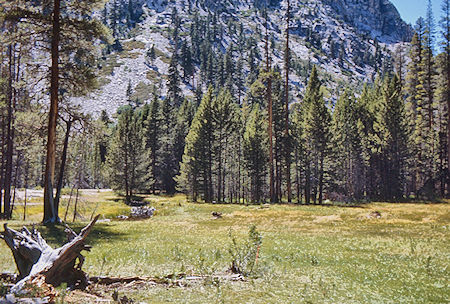 Junction Meadow - Sequoia National Park 31 Aug 1971 Junction Meadow - Sequoia National Park 31 Aug 1971