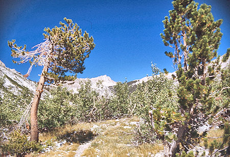 Kern-Kaweah River trail - Sequoia National Park 01 Sep 1971 Kern-Kaweah River trail - Sequoia National Park 01 Sep 1971