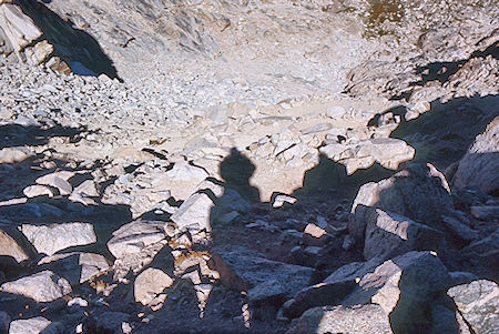 Switchbacks descending Colby Pass - Kings Canyon National Park 03 Sep 1971 Switchbacks descending Colby Pass - Kings Canyon National Park 03 Sep 1971