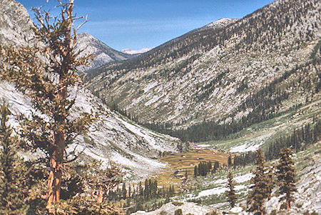 Big Wet Meadow - Kings Canyon National Park 03 Sep 1971 Big Wet Meadow - Kings Canyon National Park 03 Sep 1971