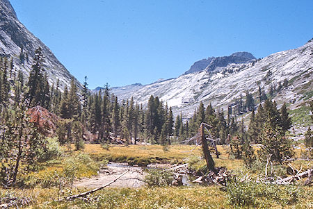 Big Wet Meadow - Kings Canyon National Park 03 Sep 1971 Big Wet Meadow - Kings Canyon National Park 03 Sep 1971