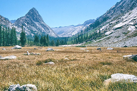 Big Wet Meadow - Kings Canyon National Park 03 Sep 1971 Big Wet Meadow - Kings Canyon National Park 03 Sep 1971