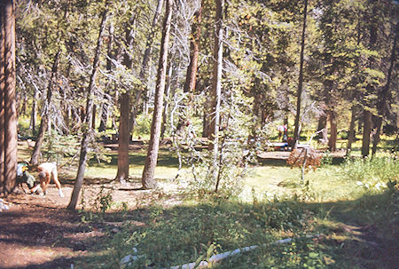 Sphinx Creek camp - Kings Canyon National Park 04 Sep 1971 Sphinx Creek camp - Kings Canyon National Park 04 Sep 1971