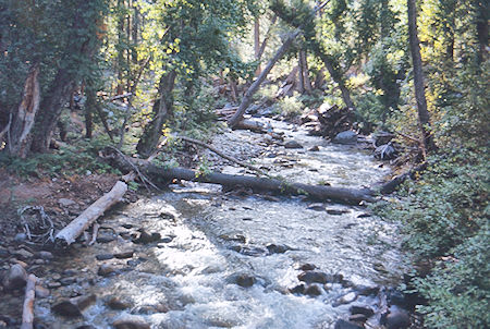 Bubbs Creek - Kings Canyon National Park 05 Sep 1971 Bubbs Creek - Kings Canyon National Park 05 Sep 1971