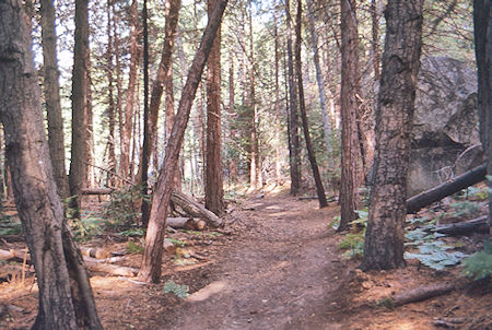 Trail down Kings River to Kings Canyon trailhead - Kings Canyon National Park 05 Sep 1971 Trail down Kings River to Kings Canyon trailhead - Kings Canyon National Park 05 Sep 1971