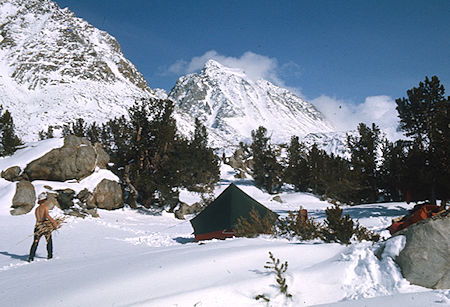 Camp at Saddleback Lake, Frank Nickolaus gathering wood - John Muir Wilderness 14 May 1977 Camp at Saddleback Lake, Frank Nickolaus gathering wood - John Muir Wilderness 14 May 1977