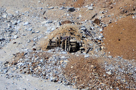 Scheelore Mine on McGee Creek 2014 Scheelore Mine on McGee Creek 2014