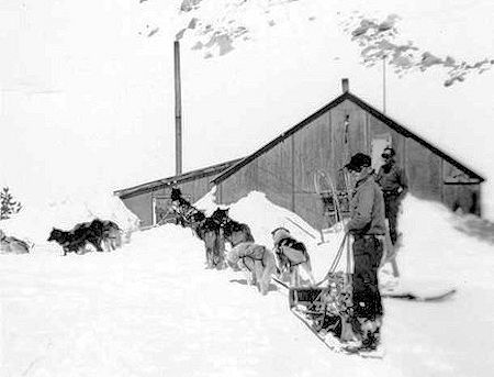 Tex Couchane (aka Cushion) and his dog team delivered supplies when no other means of transportation could reach the camp. 1937