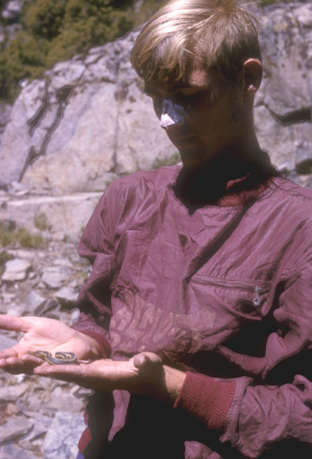 Noel Parr and friendly snake at Dorothy Lake - Aug 1965