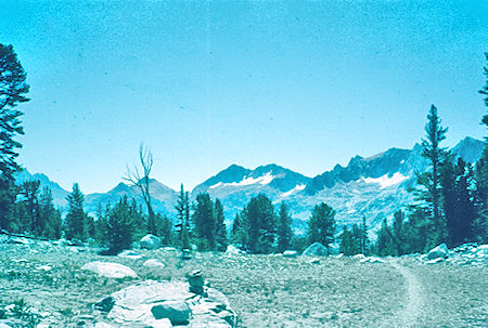 View from Virginia/Tully Divide - John Muir Wilderness Aug 1959