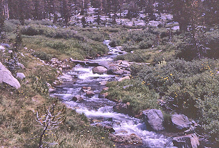 Duck Lake creek - John Muir Wilderness 20 Aug 1967