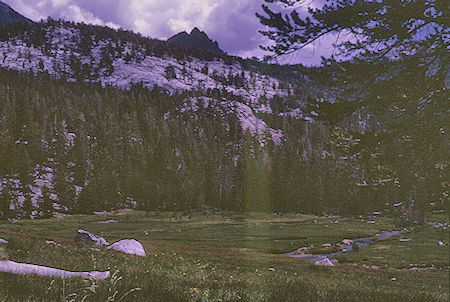 Tully Hole meadow - John Muir Wilderness 21 Aug 1967