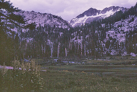 Horse Heaven Meadow - John Muir Wilderness 21 Aug 1967